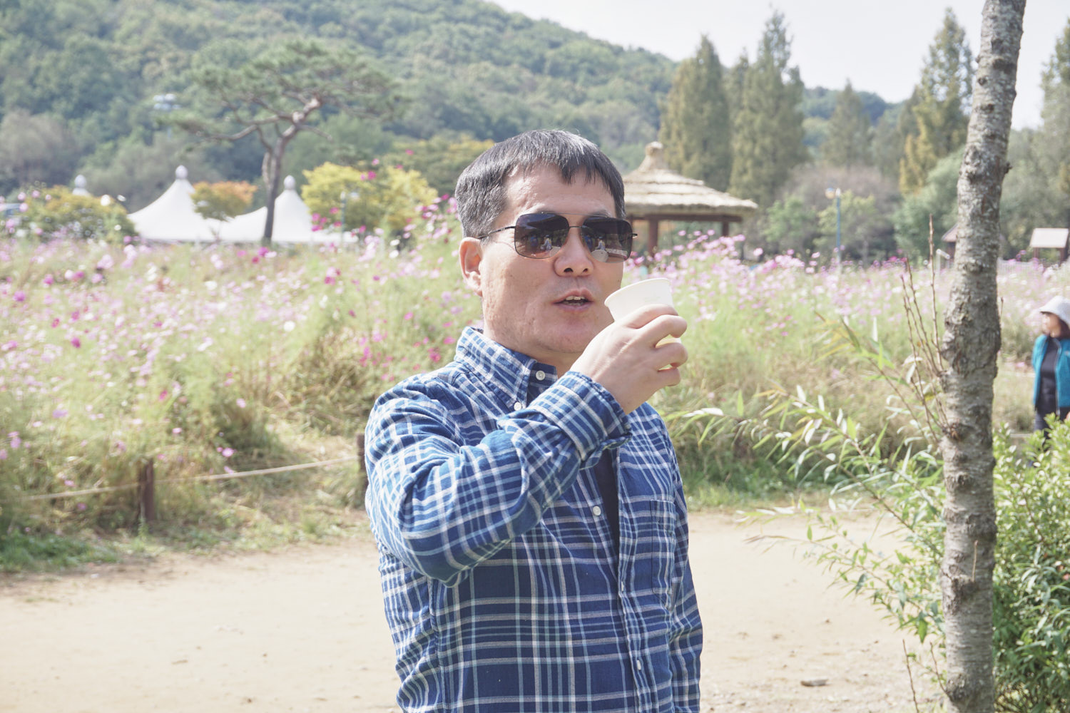 YWJP00025.jpg