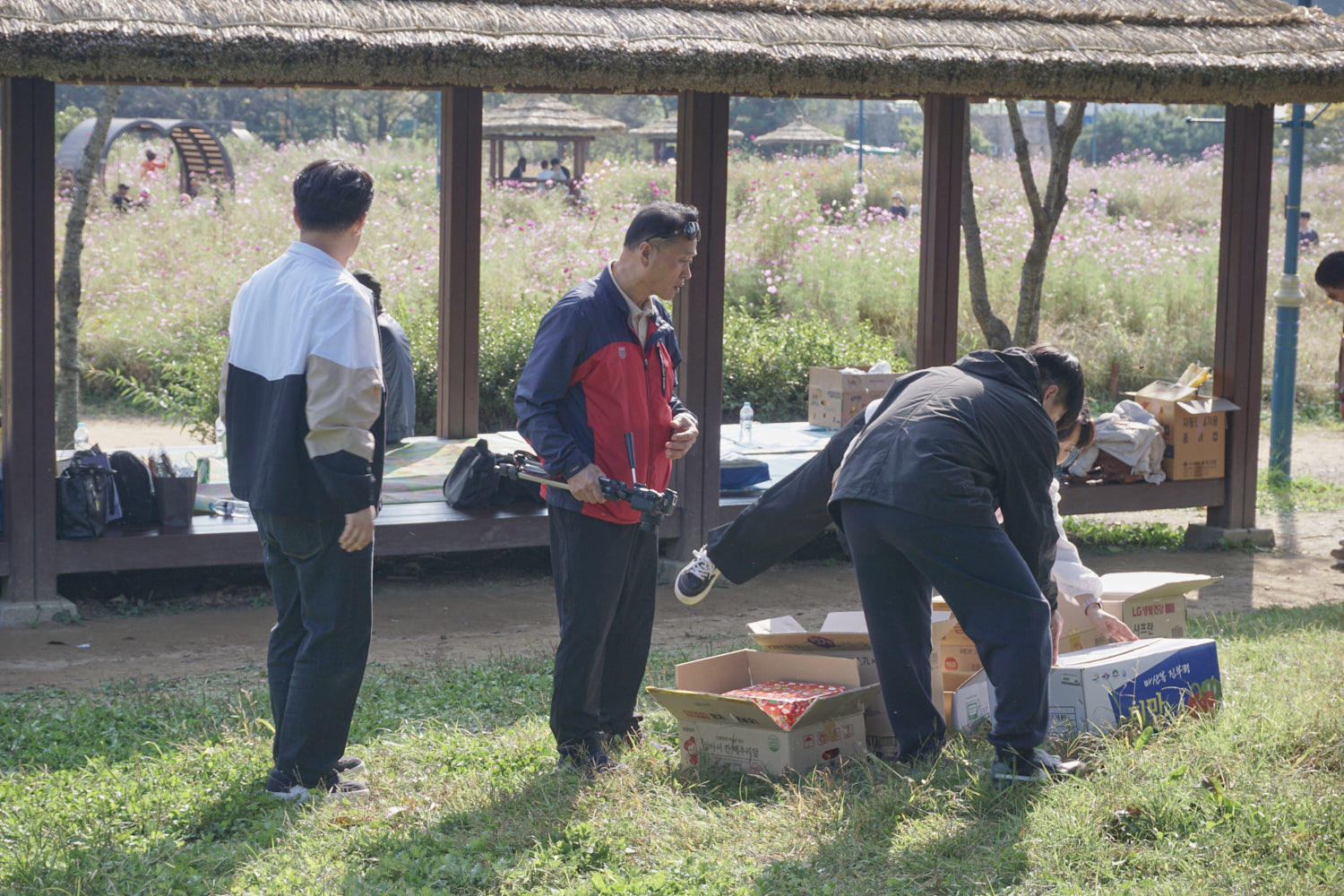 YWJP00072.jpg