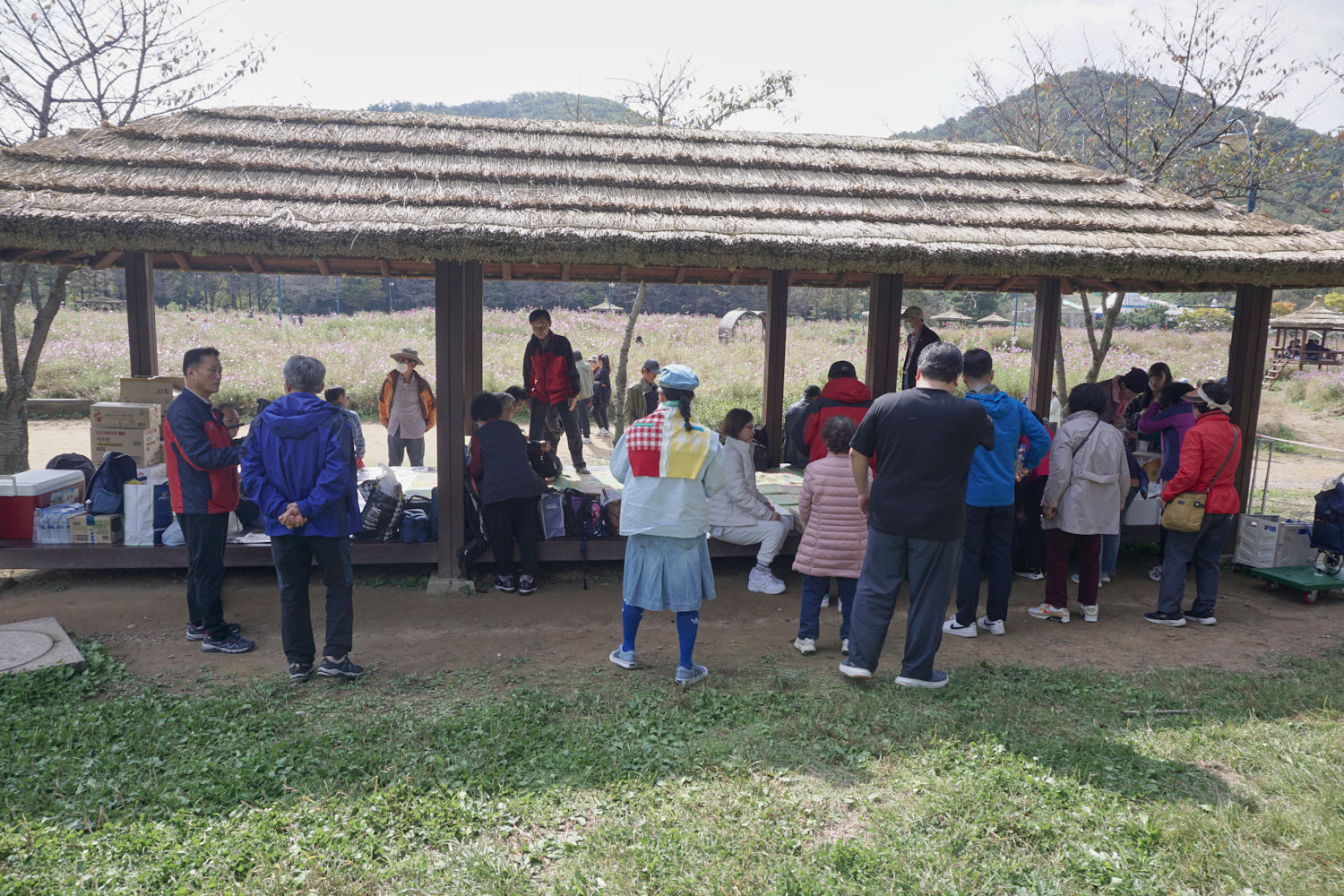 YWJP00016.jpg