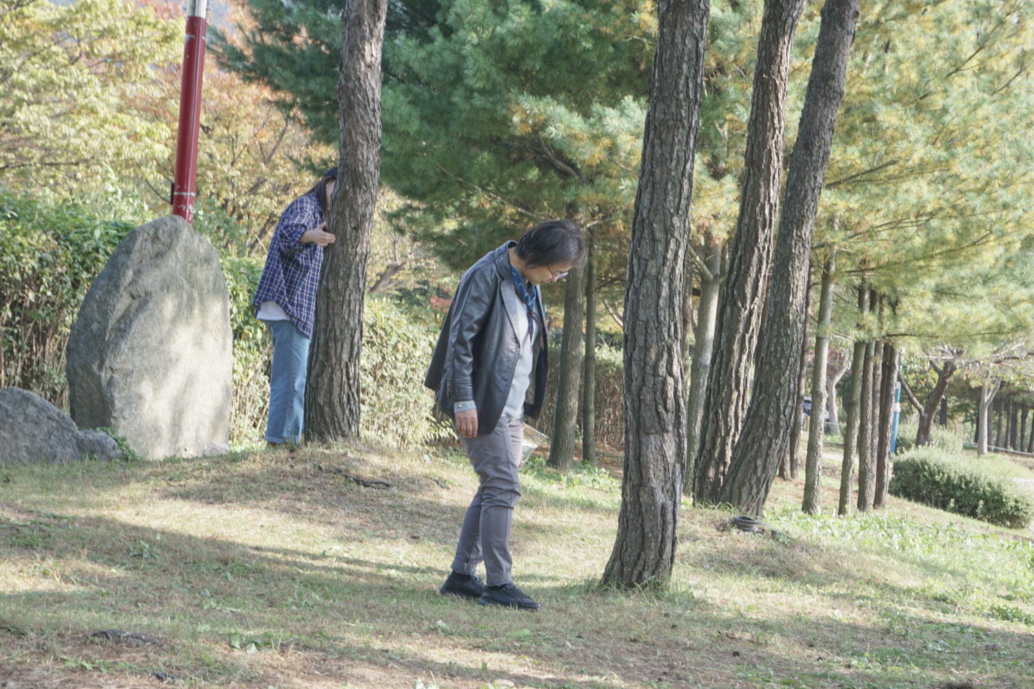 YWJP00069.jpg