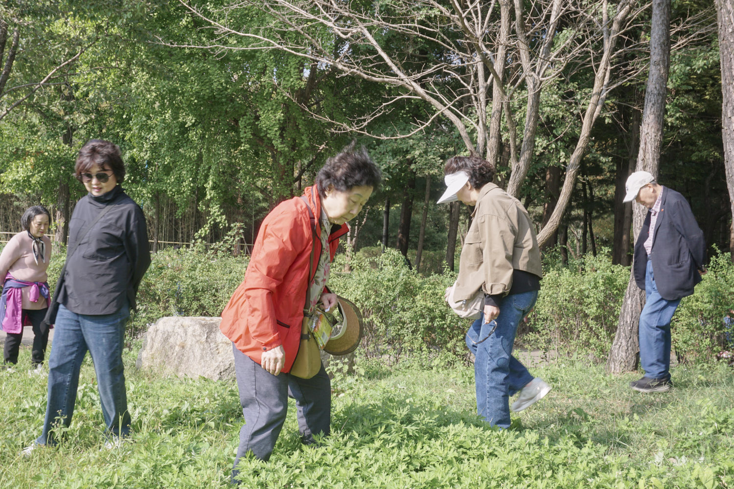 YWJP00067.jpg