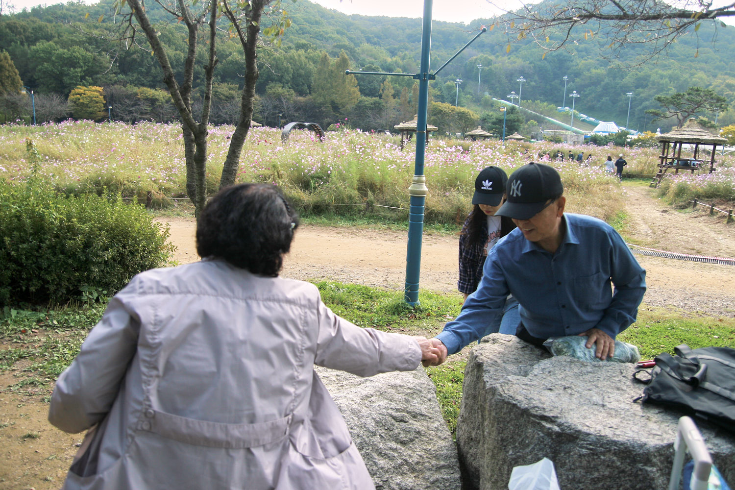 YWJP00102.jpg