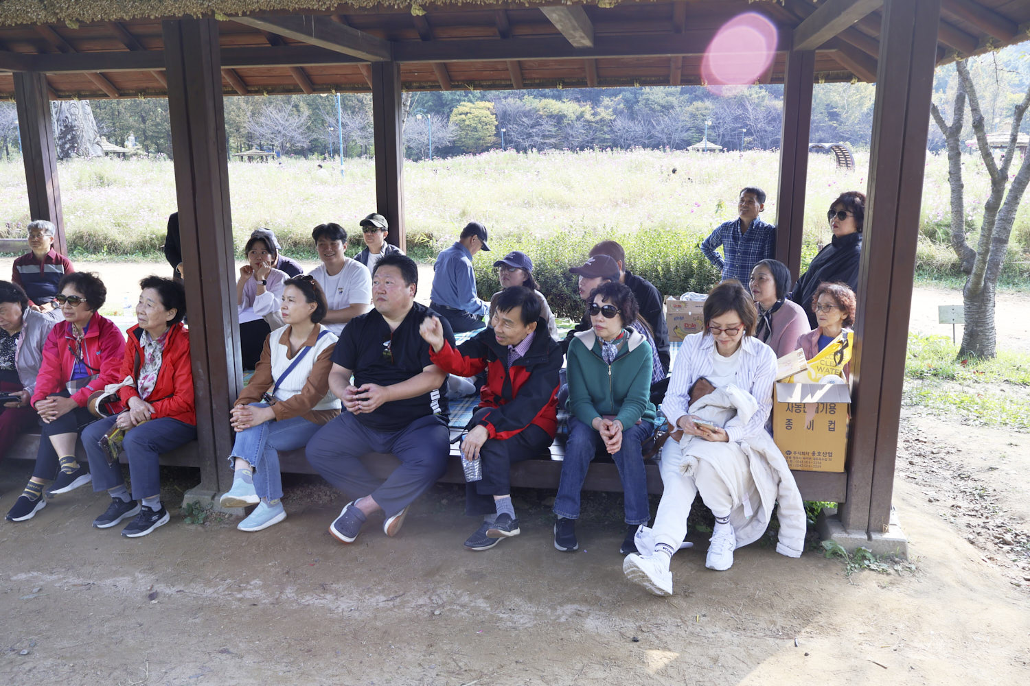 YWJP00051.jpg