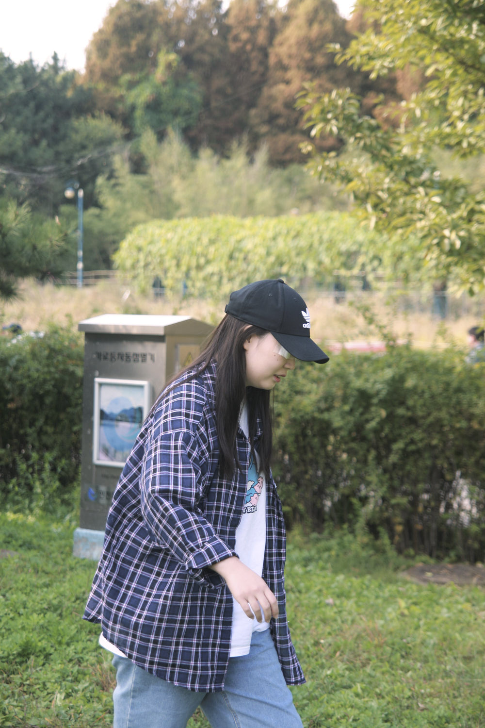 YWJP00081.jpg