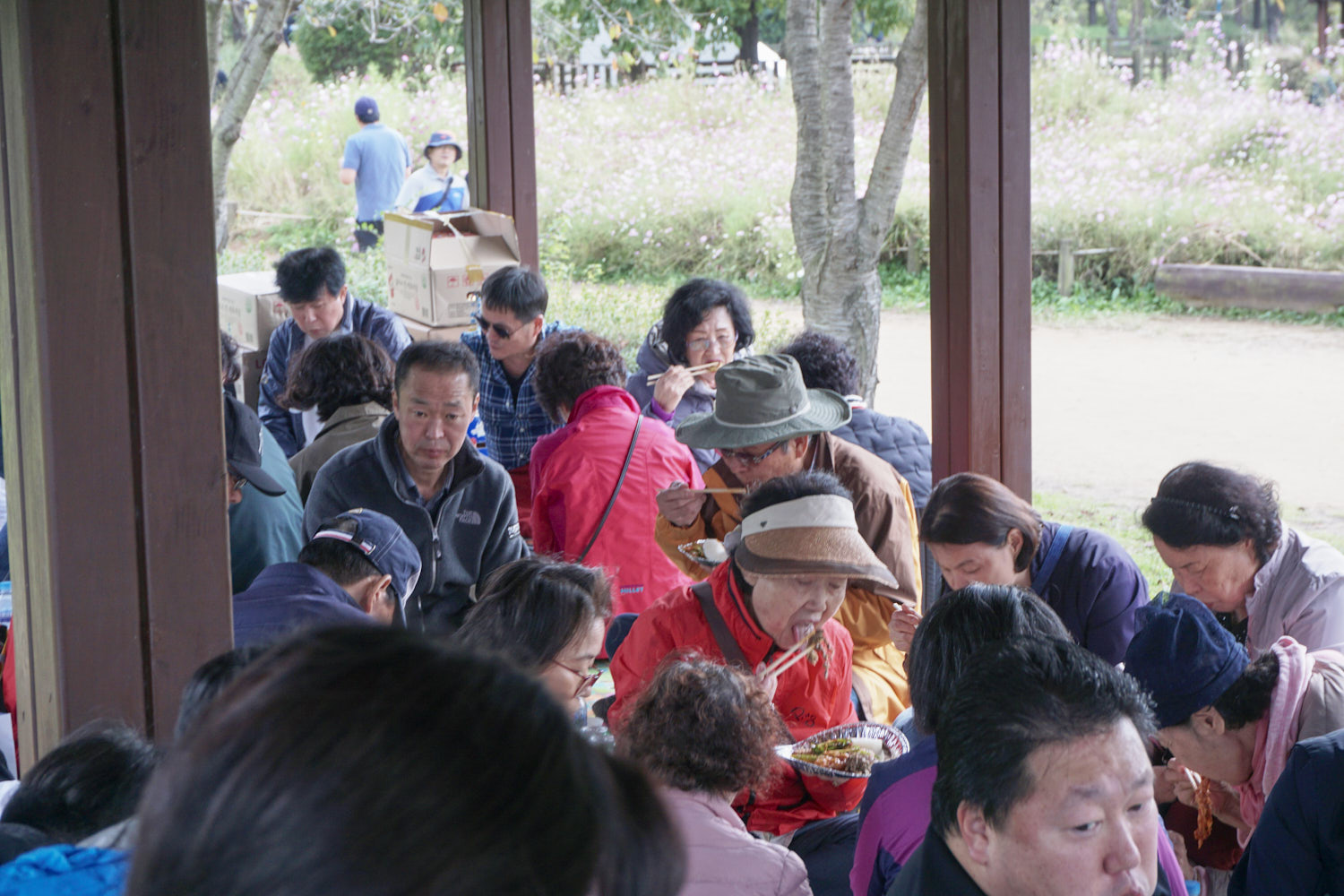 YWJP00021.jpg