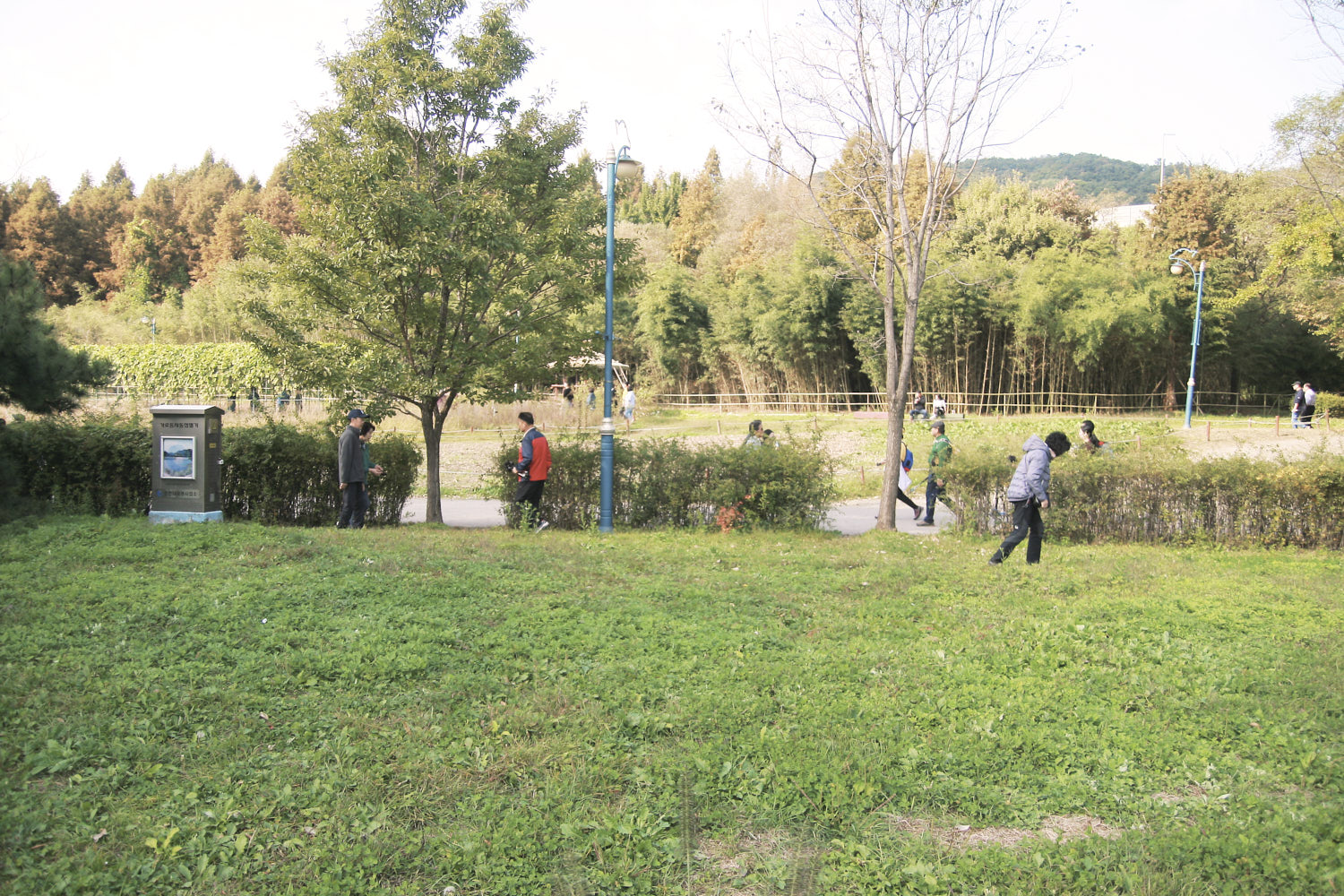 YWJP00062.jpg
