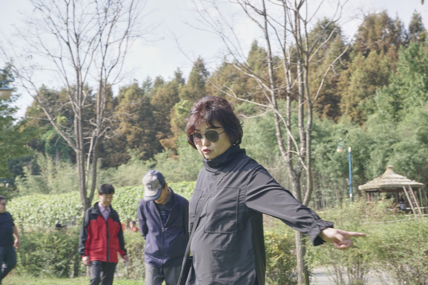 YWJP00068.jpg