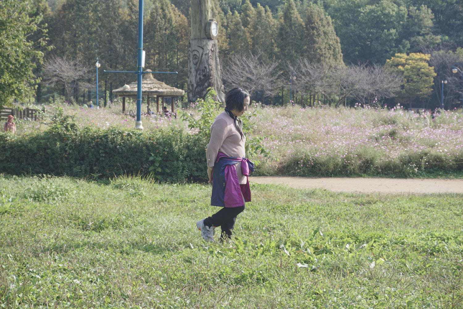 YWJP00097.jpg