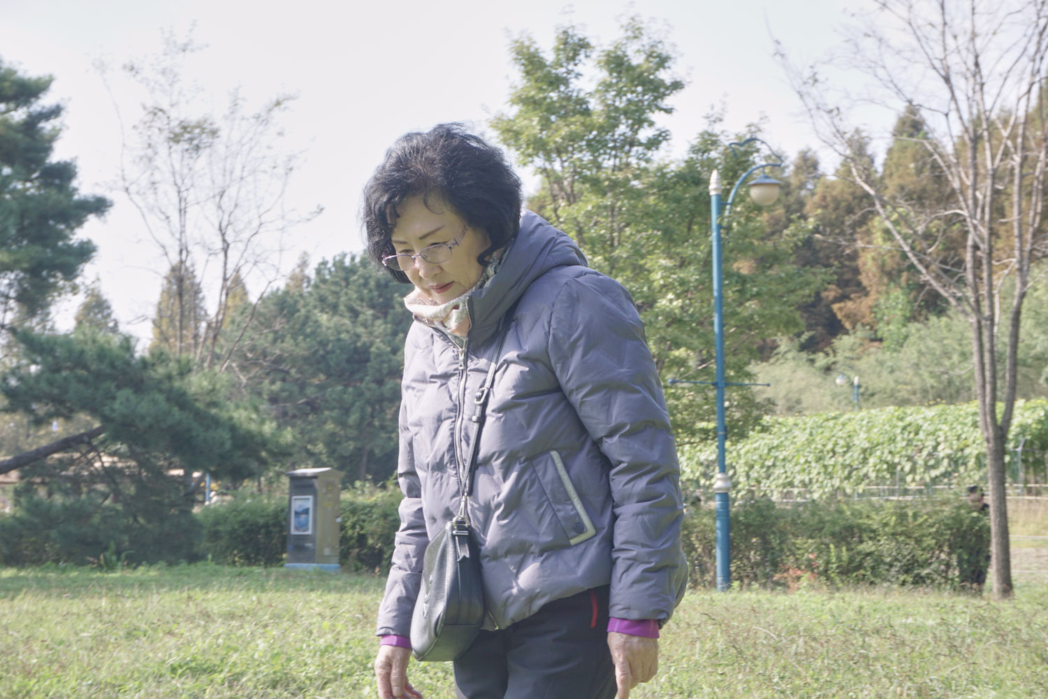 YWJP00065.jpg