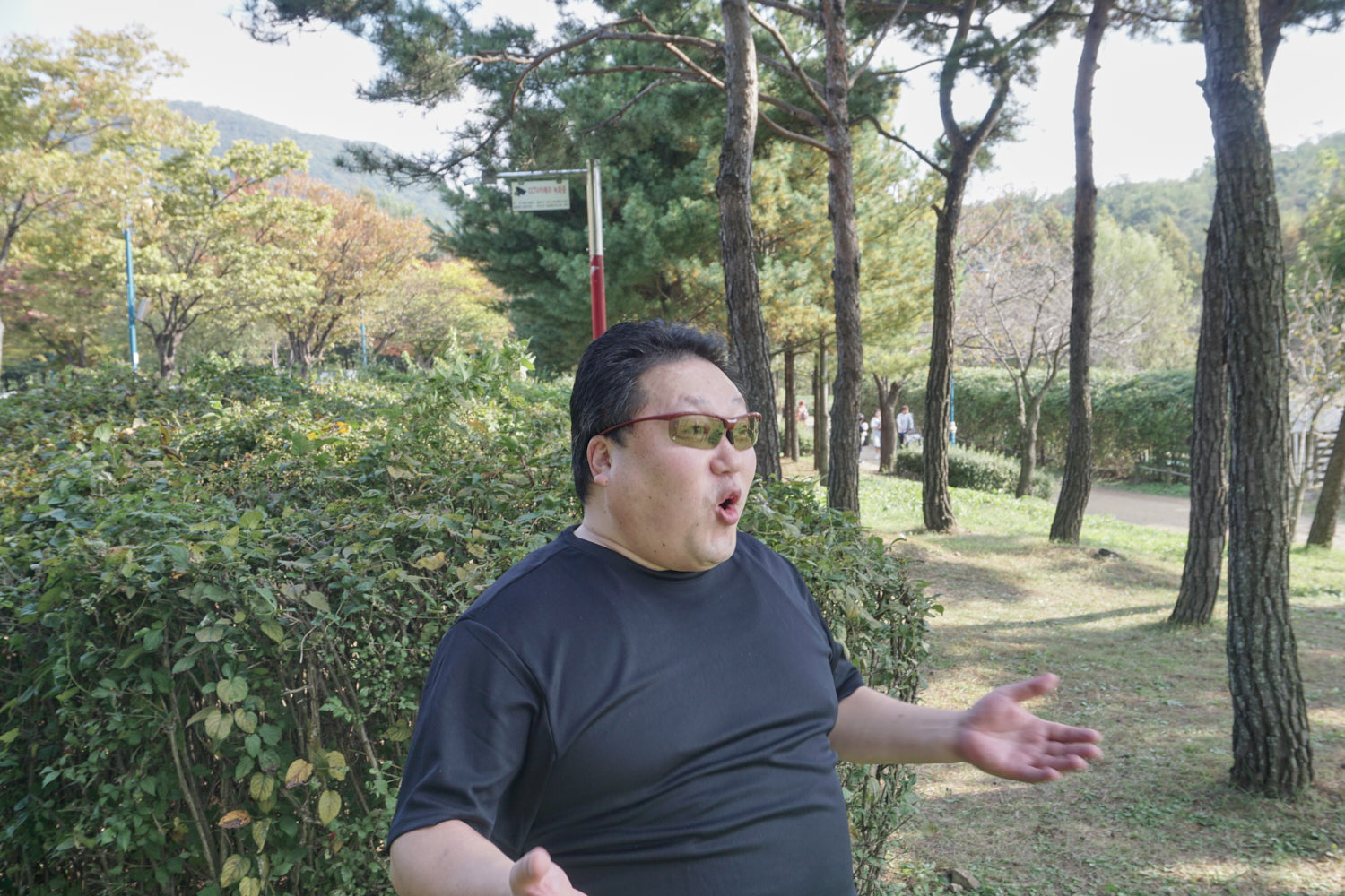 YWJP00100.jpg