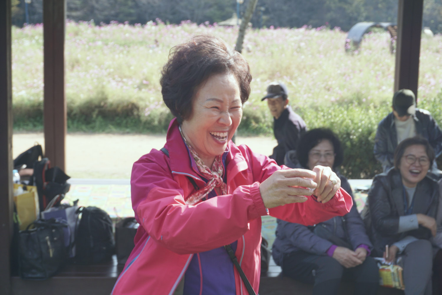 YWJP00141.jpg