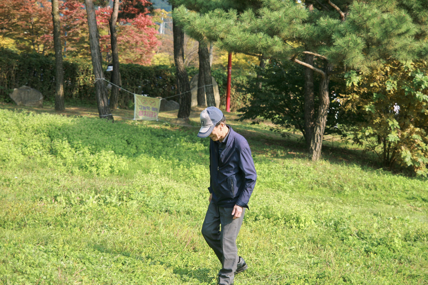 YWJP00088.jpg