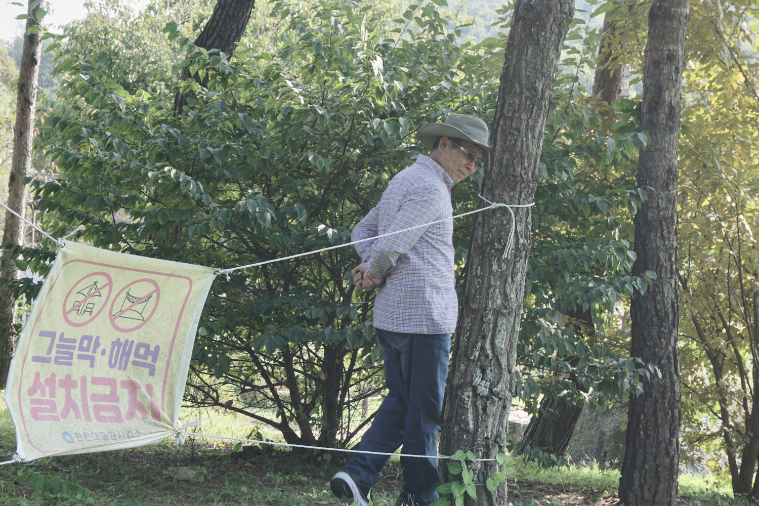 YWJP00070.jpg