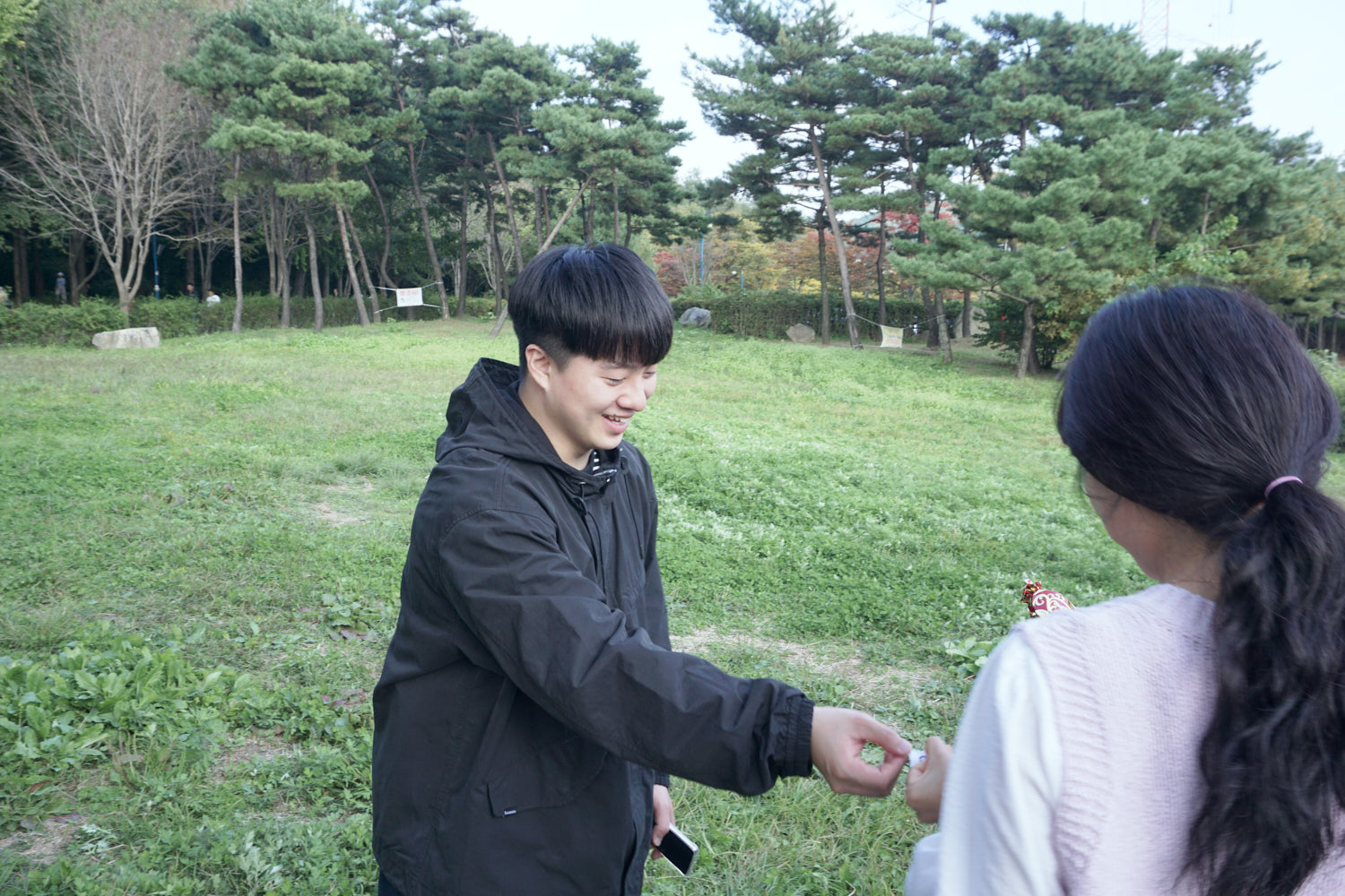 YWJP00173.jpg