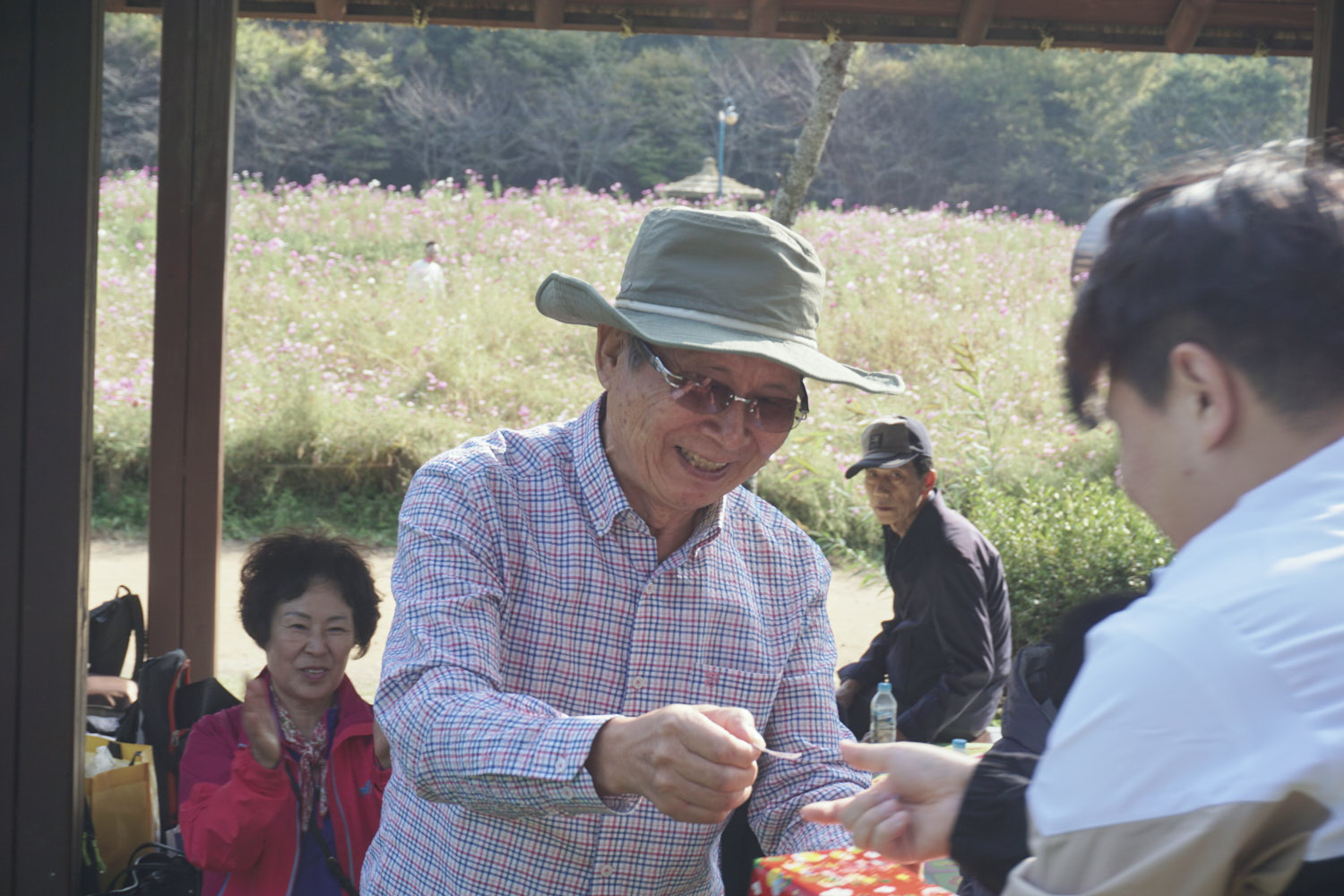 YWJP00152.jpg