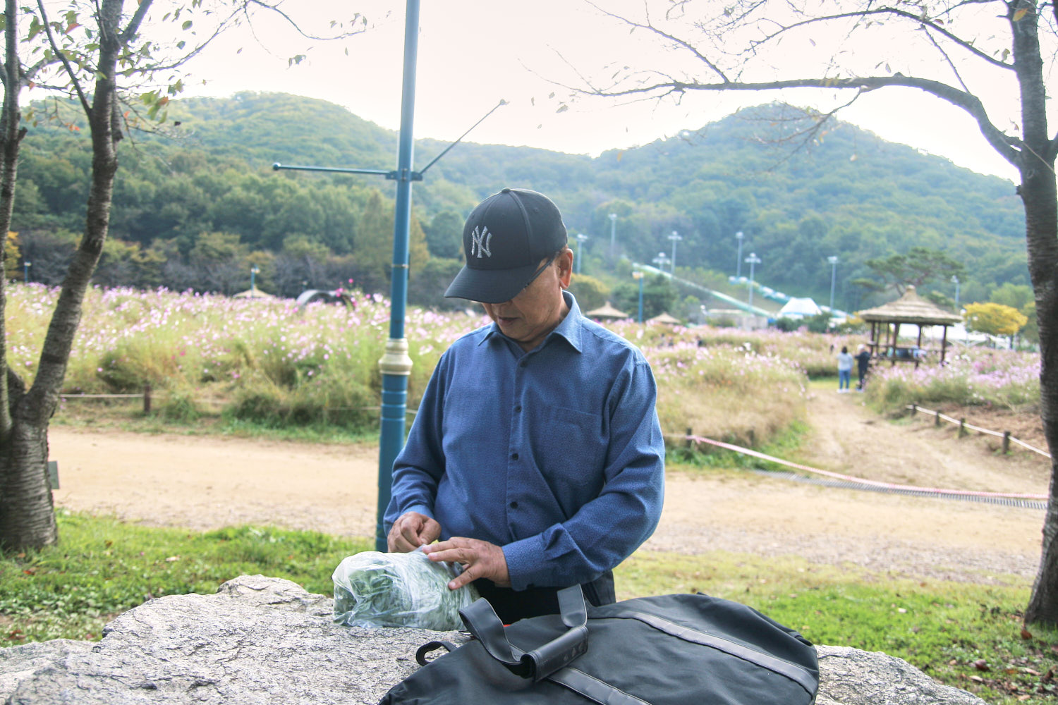 YWJP00101.jpg