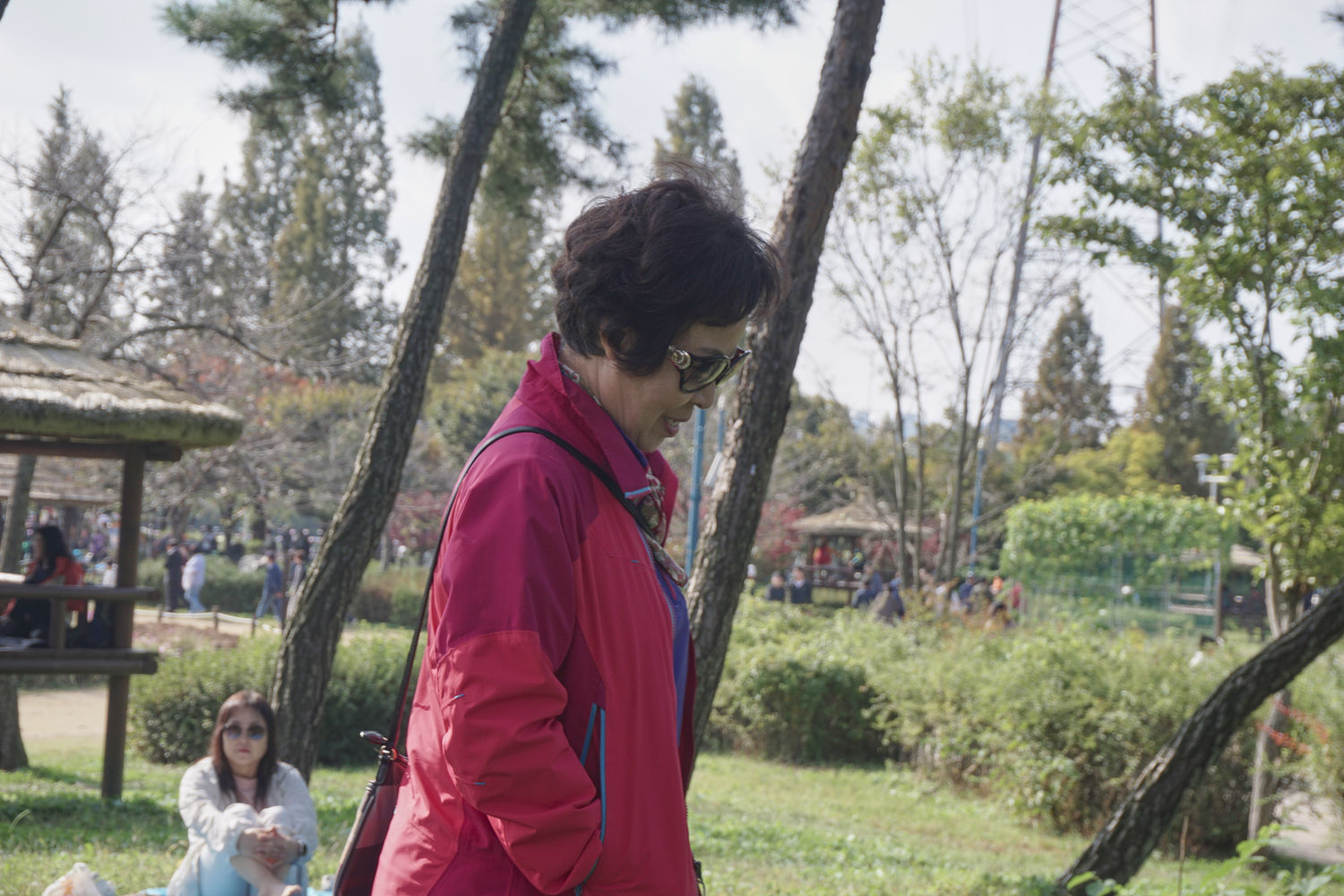 YWJP00073.jpg