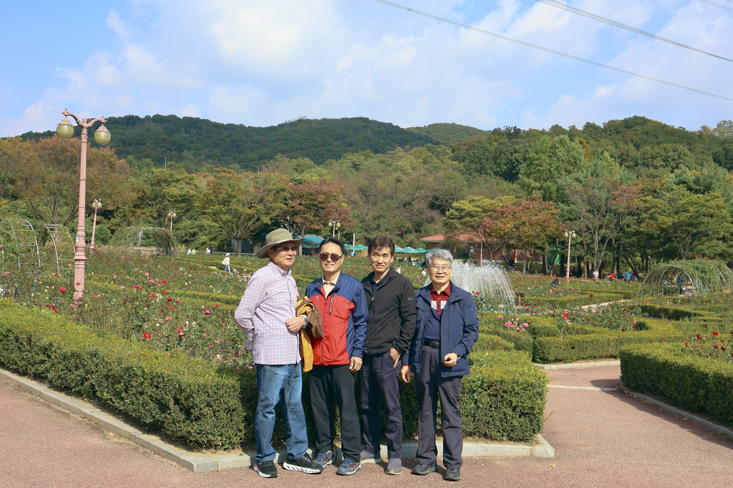 YWJP00033.jpg