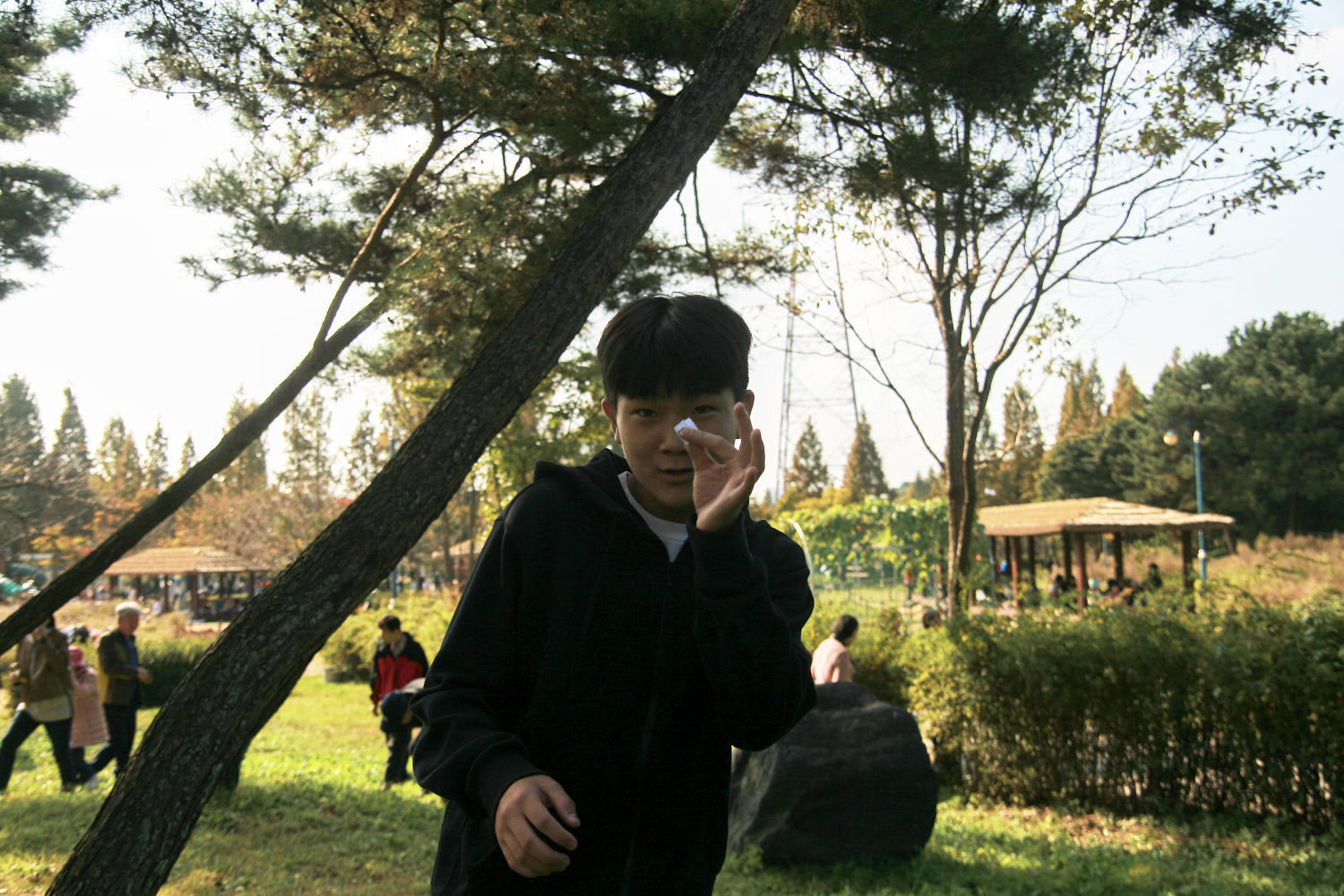 YWJP00086.jpg