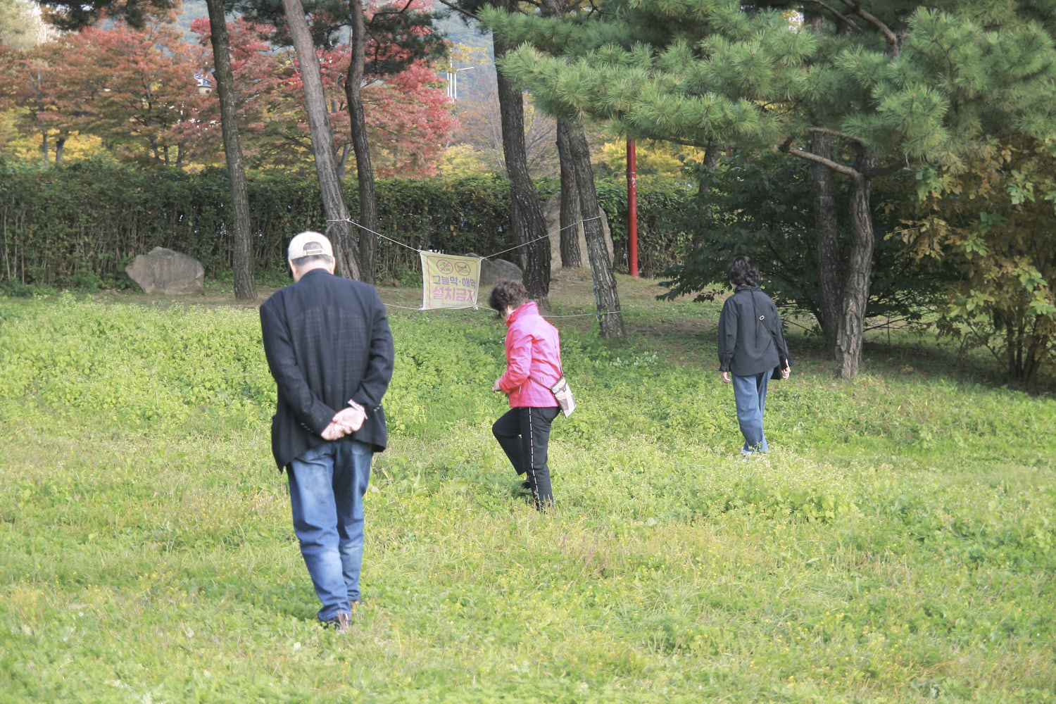 YWJP00061.jpg