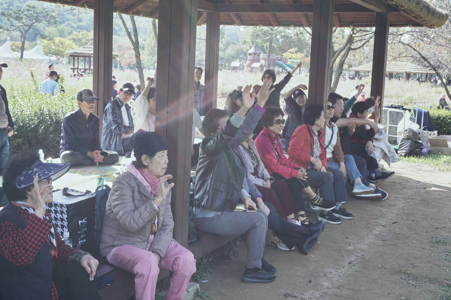 YWJP00058.jpg