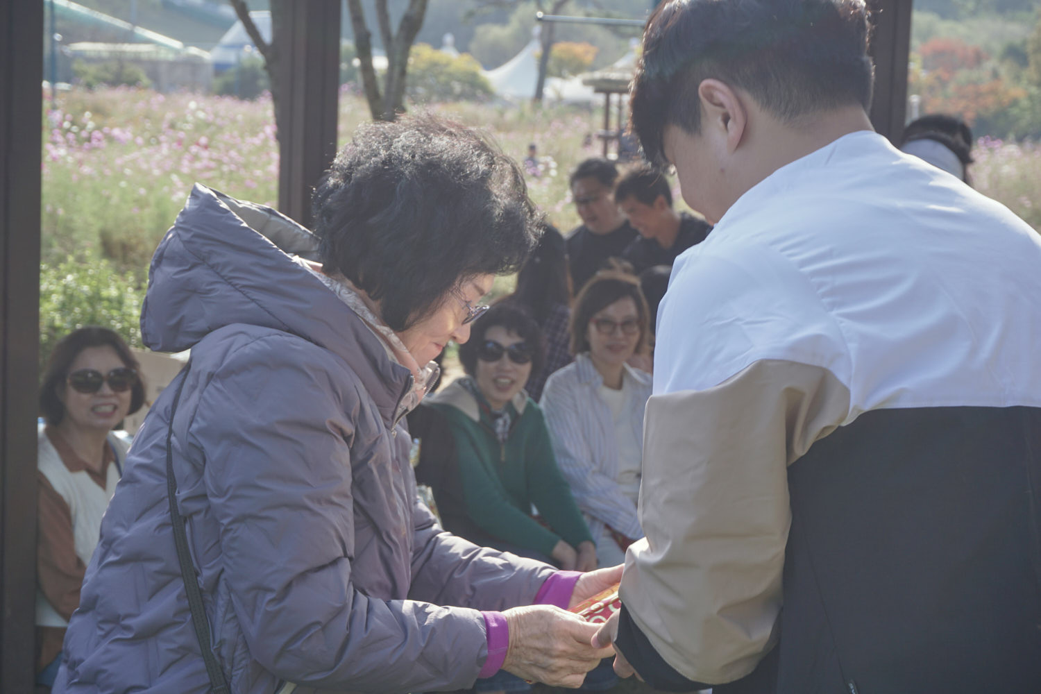 YWJP00160.jpg
