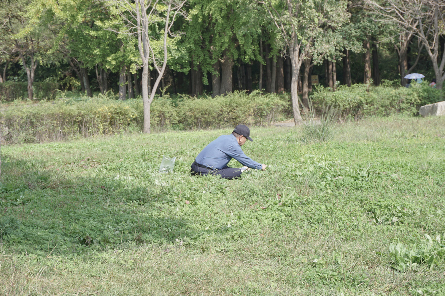 YWJP00027.jpg