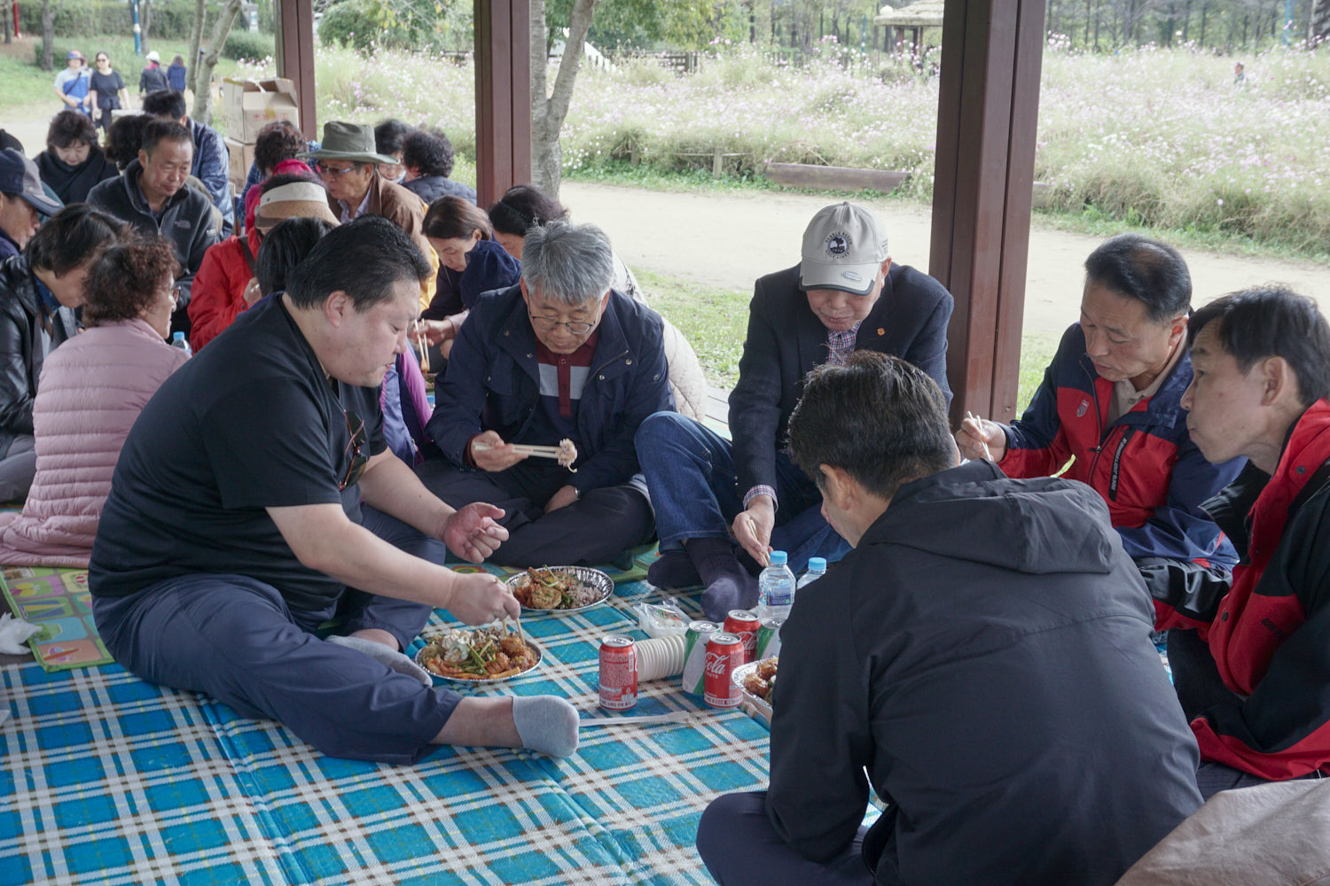 YWJP00020.jpg