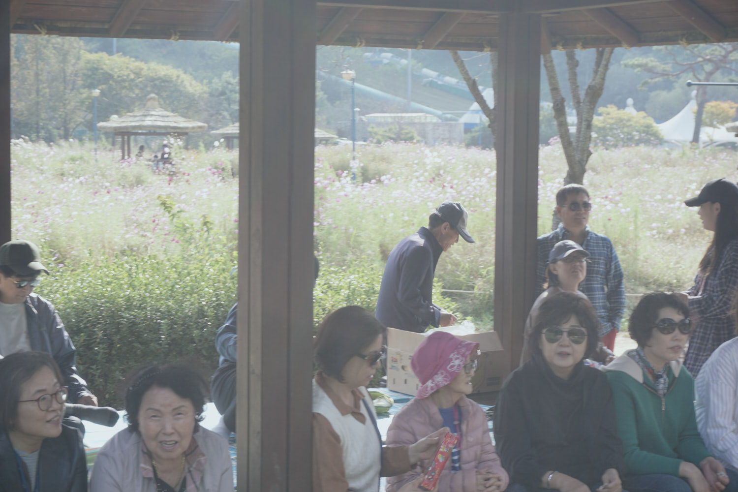 YWJP00137.jpg