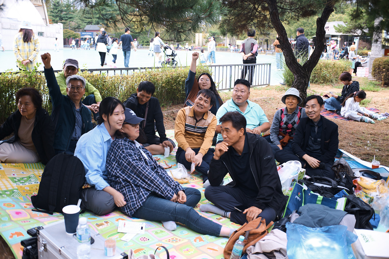 52.jpg