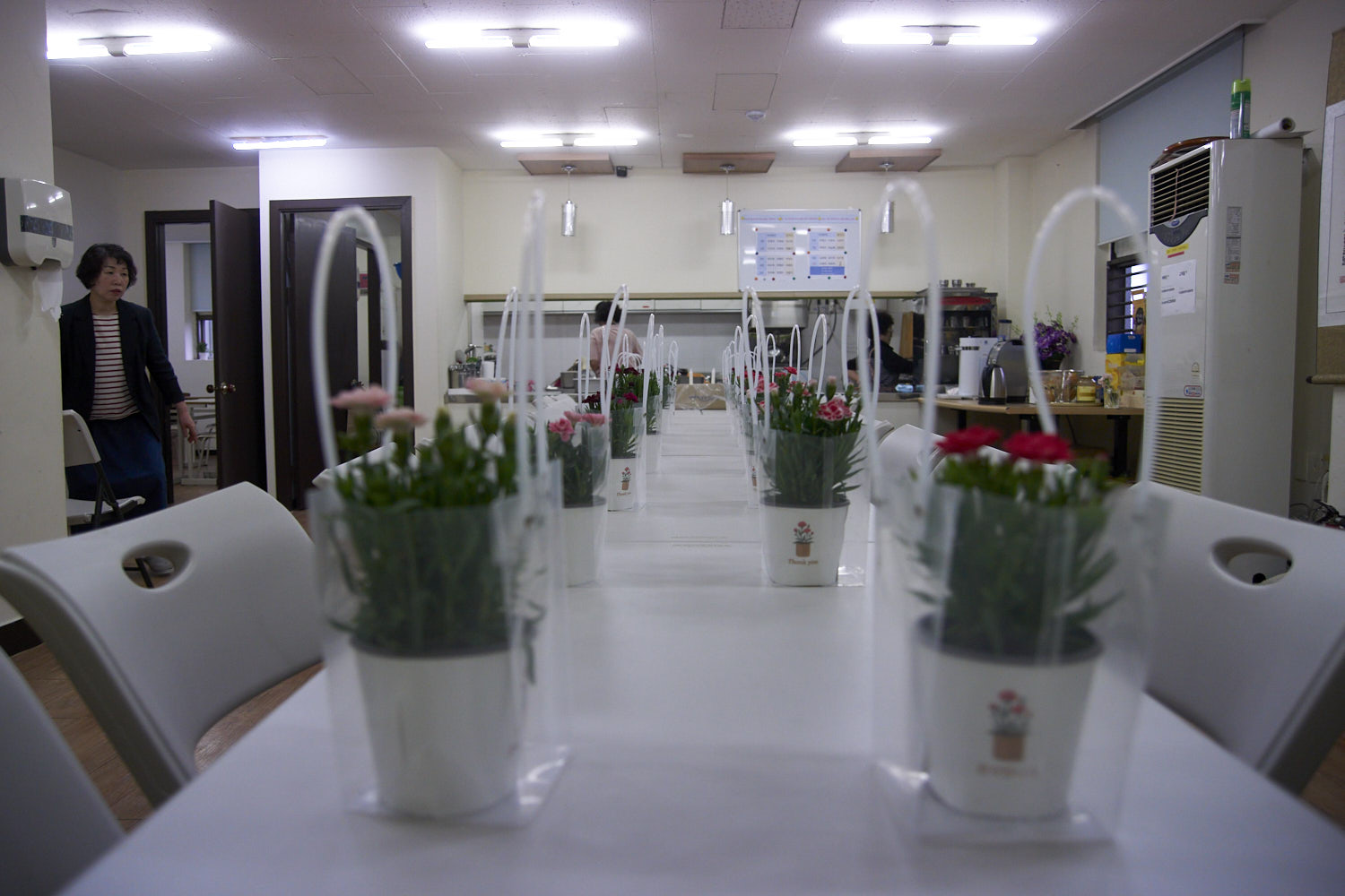 DSC00984.jpg