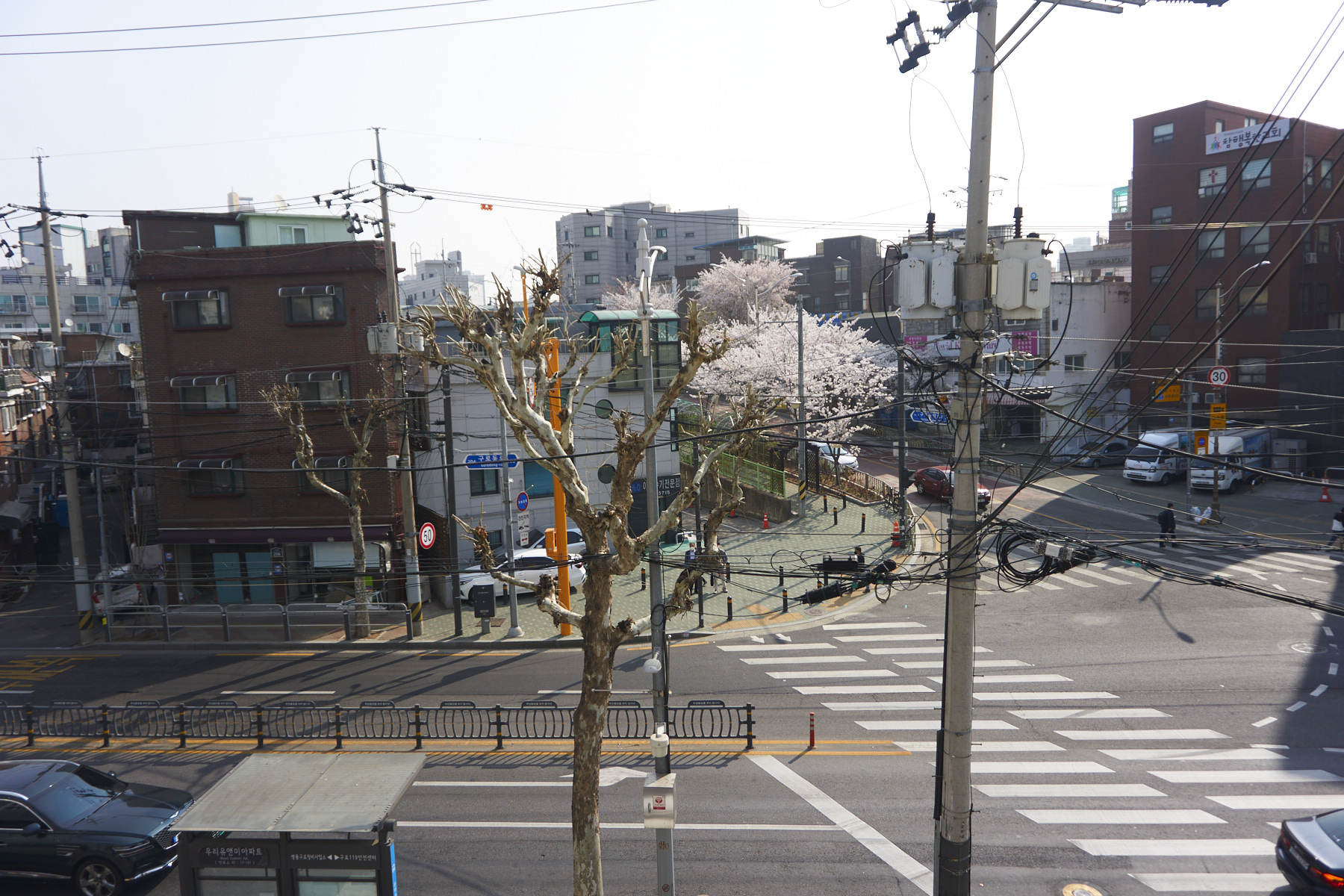 CNJP00000.jpg