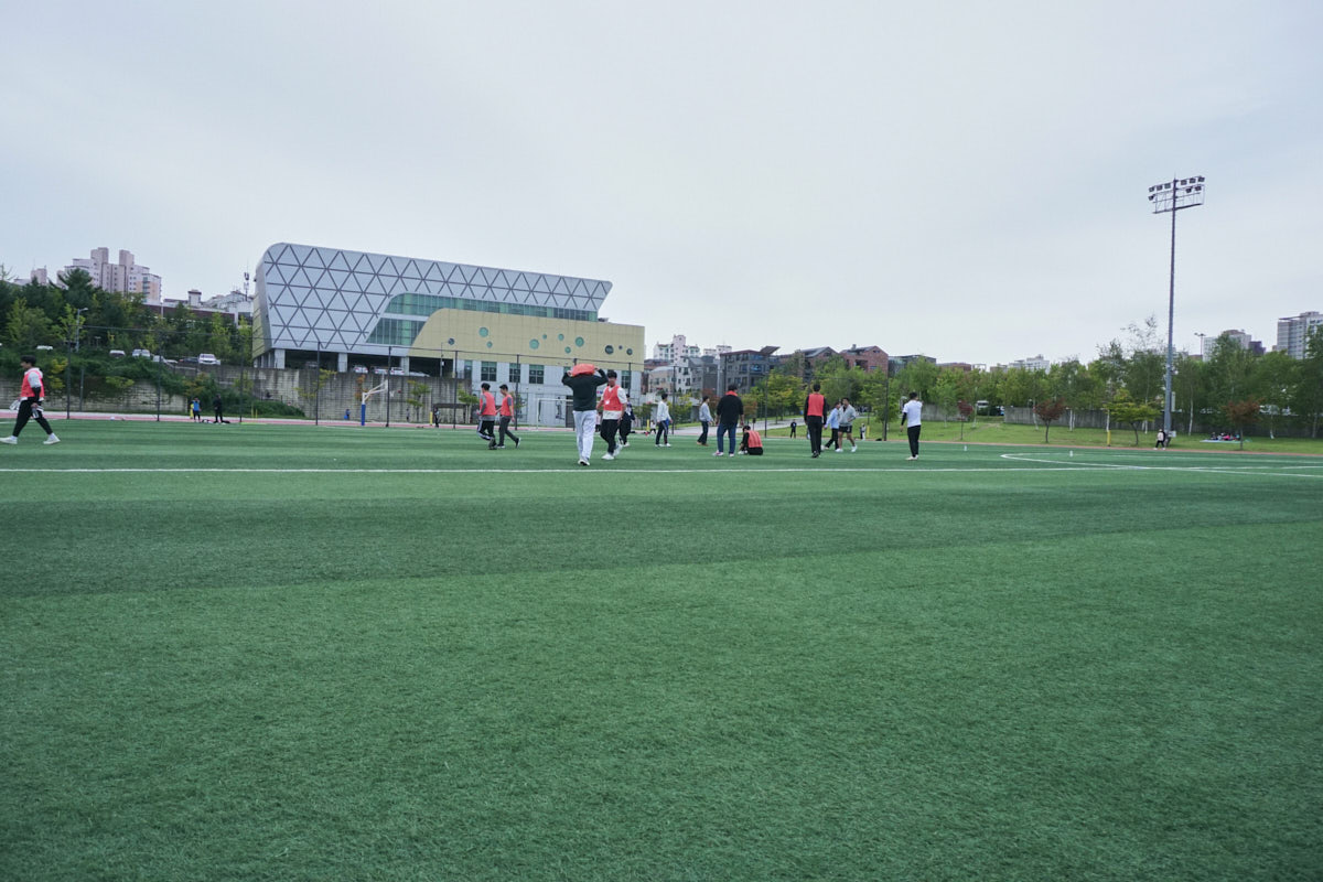 DSC08233.jpg