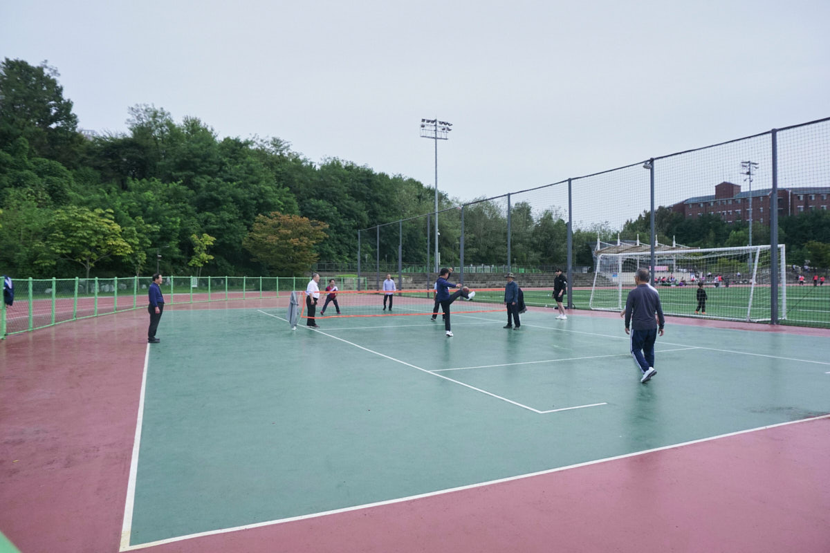 DSC08278.jpg