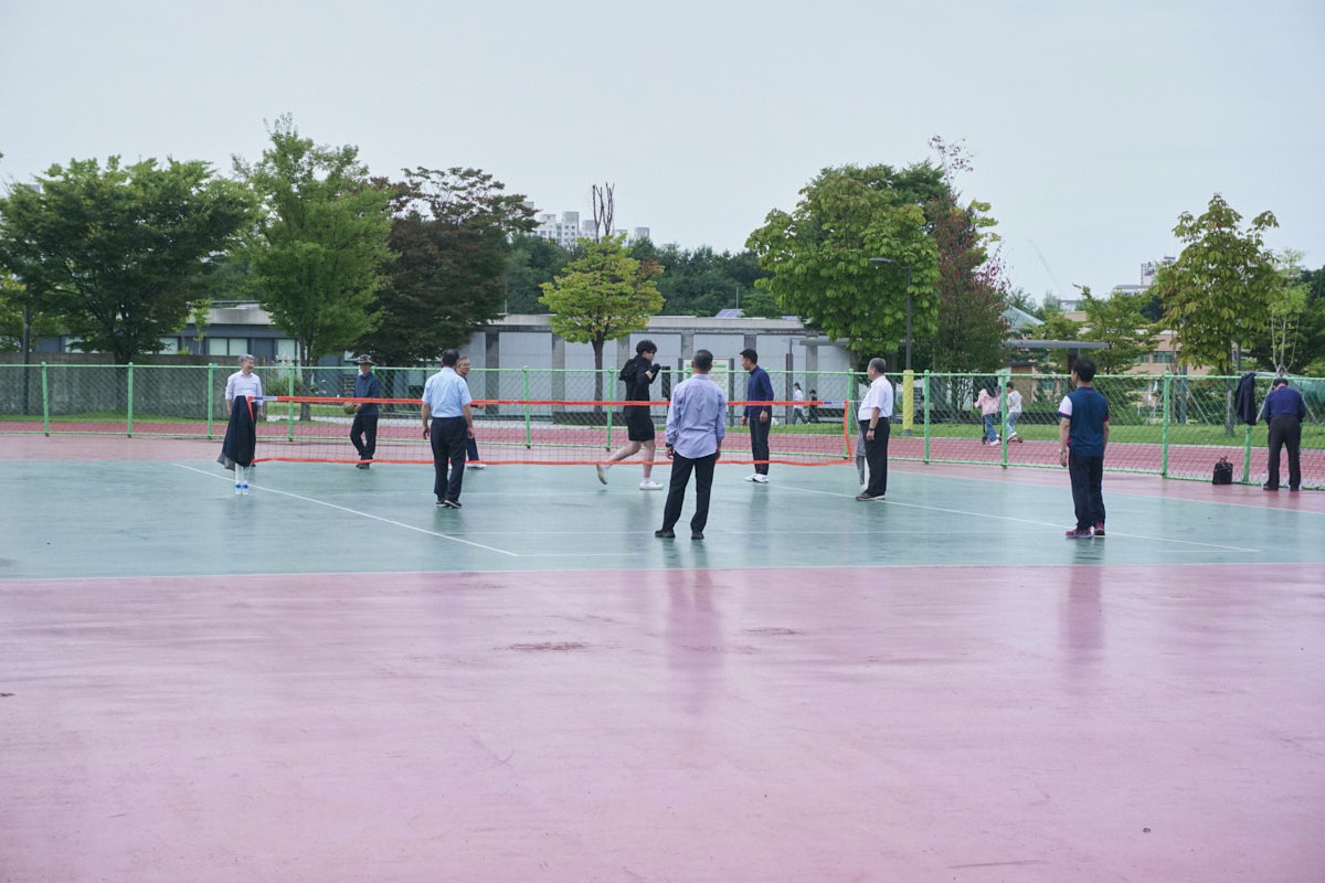 DSC08234.jpg